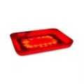 Mystic Mushroom LED Tray at Spencer's