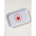 A Blunt A Day Tray at Spencer's