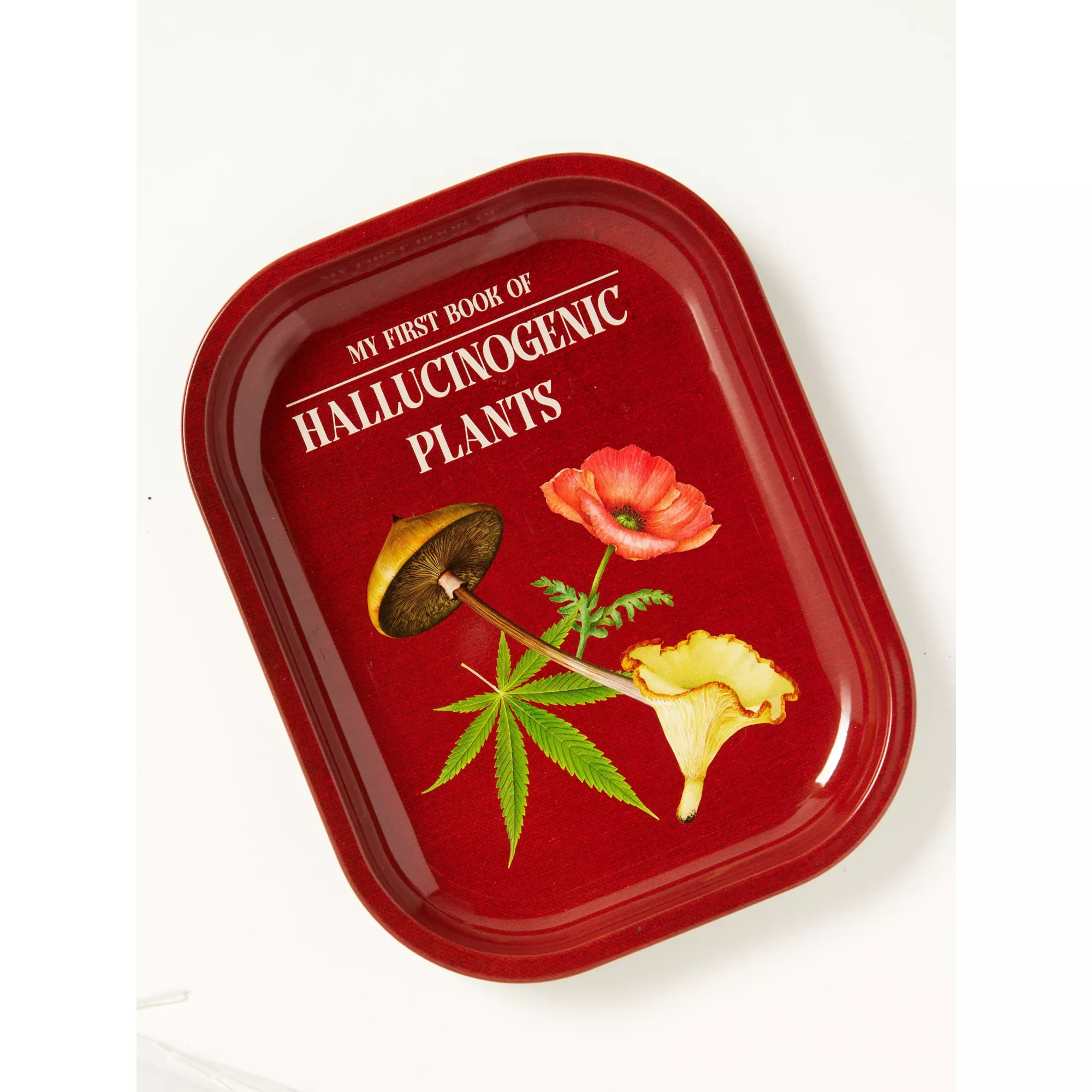 My First Book of Hallucinogenic Plants Tray at Spencer's