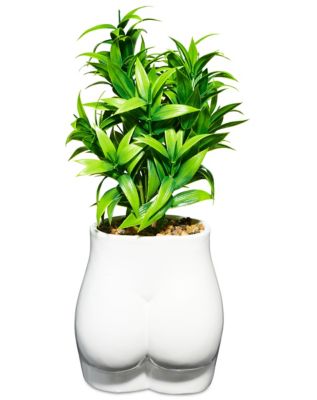 White Butt Planter