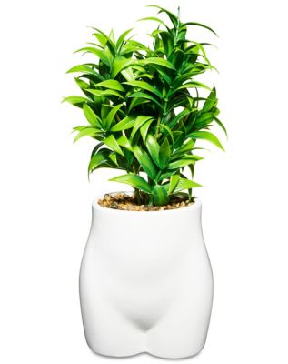 White Butt Planter