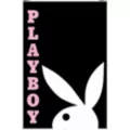 Playboy Rabbit Head Poster at Spencer's
