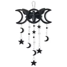 Black Resin Moth Hanging Decoration at Spencer's
