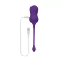 Playboy Pleasure Double Time Kegel Balls at Spencer's