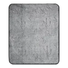 Glow in the Dark Horoscope Fleece Blanket at Spencer's