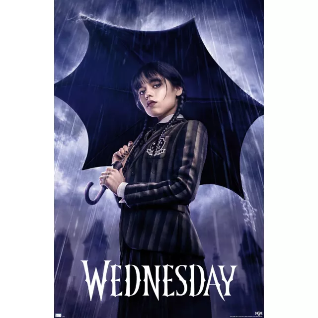 Wednesday Umbrella Poster at Spencer's