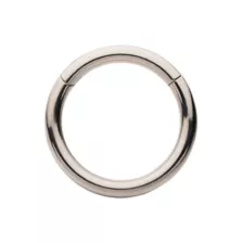 Silvertone Hinged Hoop Earring at Spencer's
