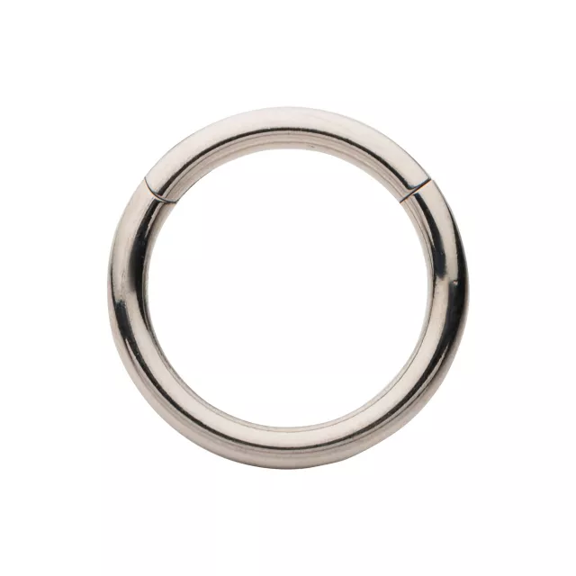 Silvertone Hinged Hoop Earring at Spencer's