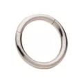 Silvertone Hinged Hoop Earring at Spencer's