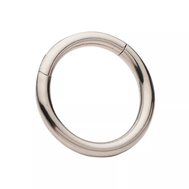 Silvertone Hinged Hoop Earring at Spencer's