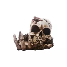 Skull In Hand Ashtray at Spencer's