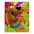 Scooby-Doo Relp Reversible Fleece Blanket at Spencer's