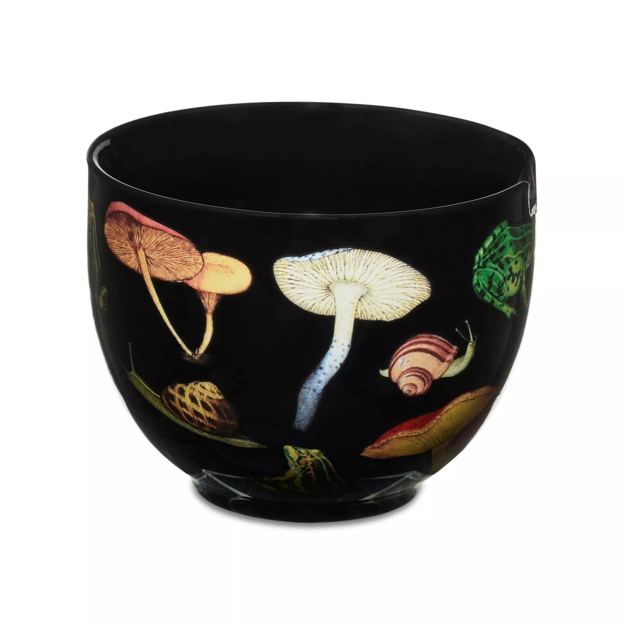 Goblincore Bowl with Chopsticks at Spencer's