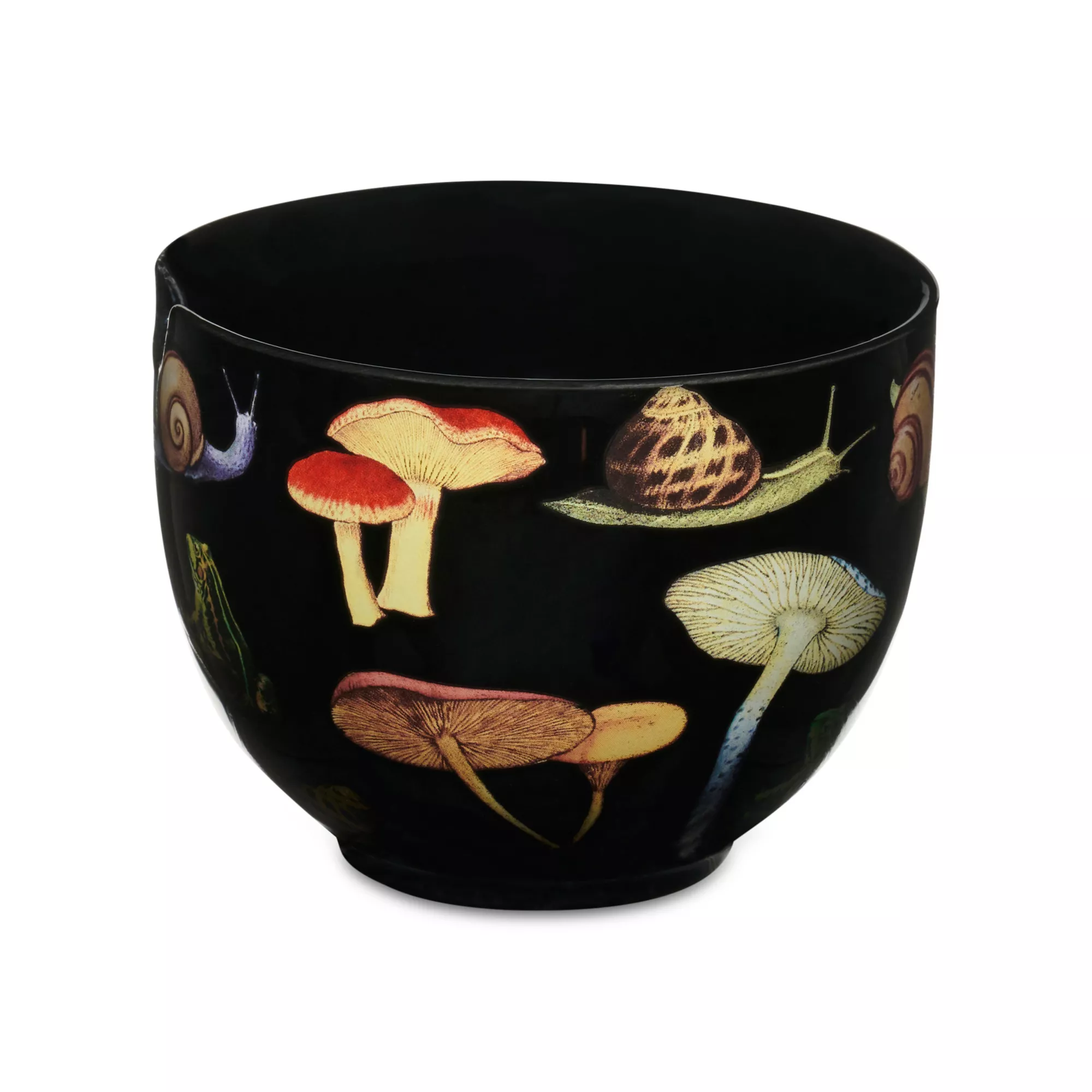 Goblincore Bowl with Chopsticks at Spencer's