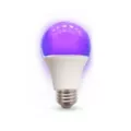 Black Light and White LED Light Bulb at Spencer's