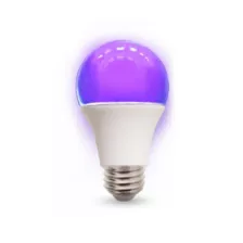 Black Light and White LED Light Bulb at Spencer's