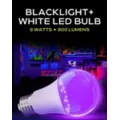 Black Light and White LED Light Bulb at Spencer's