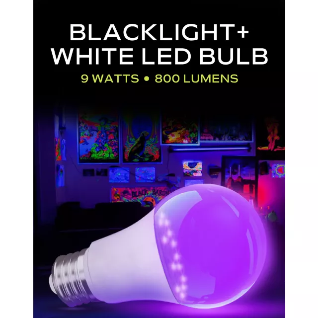 Black Light and White LED Light Bulb at Spencer's