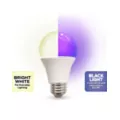Black Light and White LED Light Bulb at Spencer's