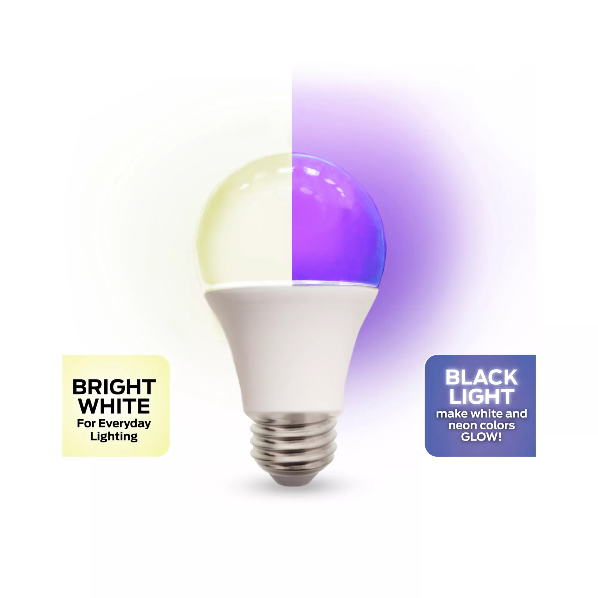 Black Light and White LED Light Bulb at Spencer's