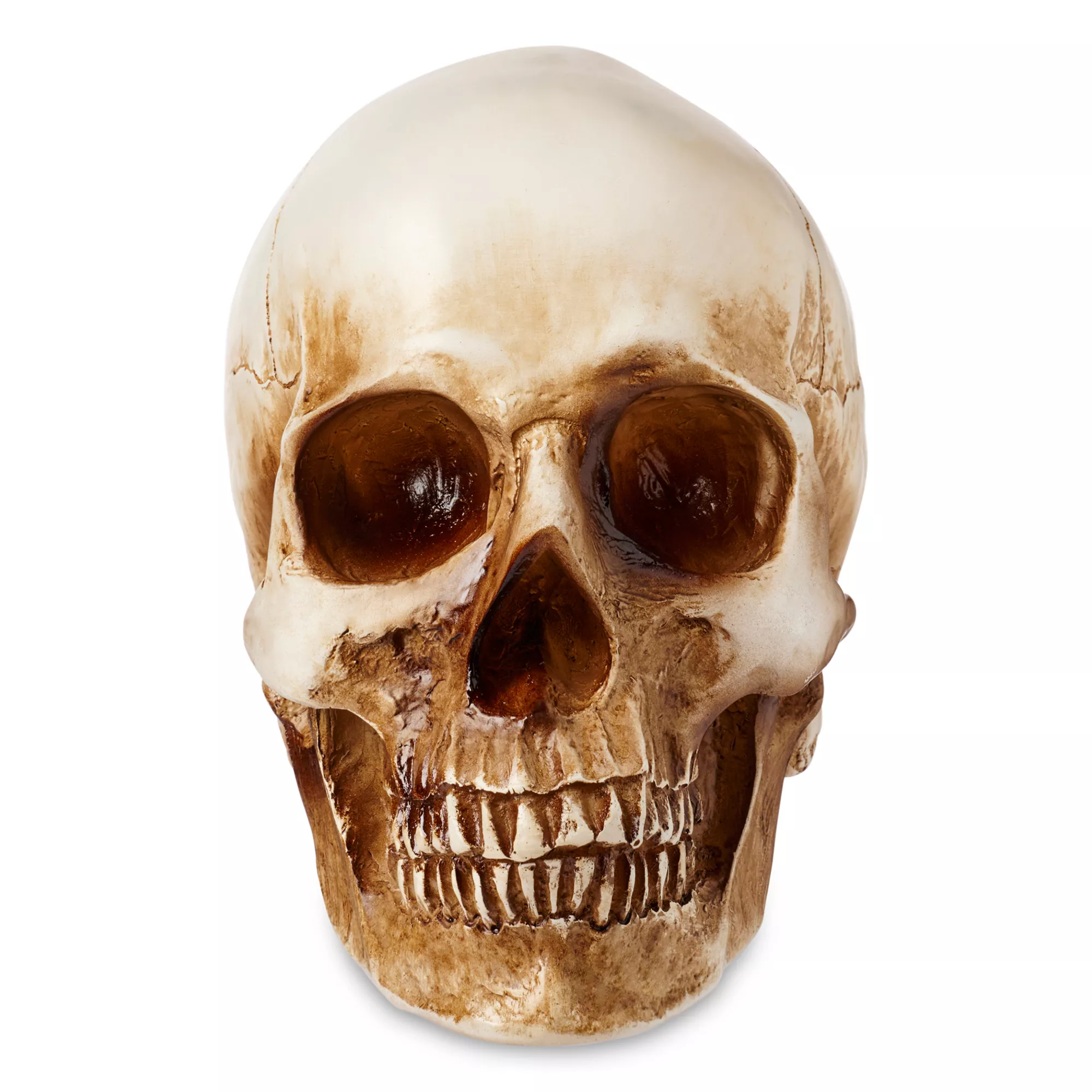 LED Skull Light at Spencer's