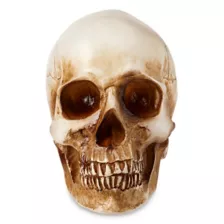 LED Skull Light at Spencer's