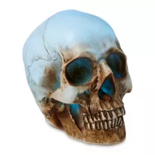 LED Skull Light at Spencer's