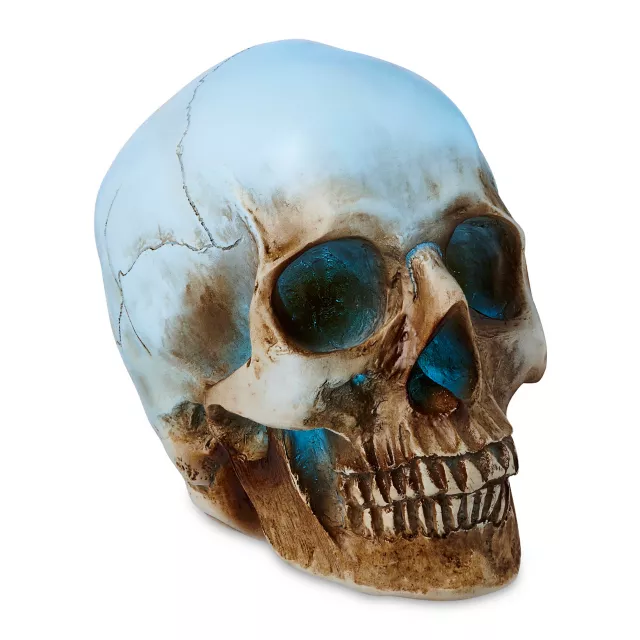 LED Skull Light at Spencer's