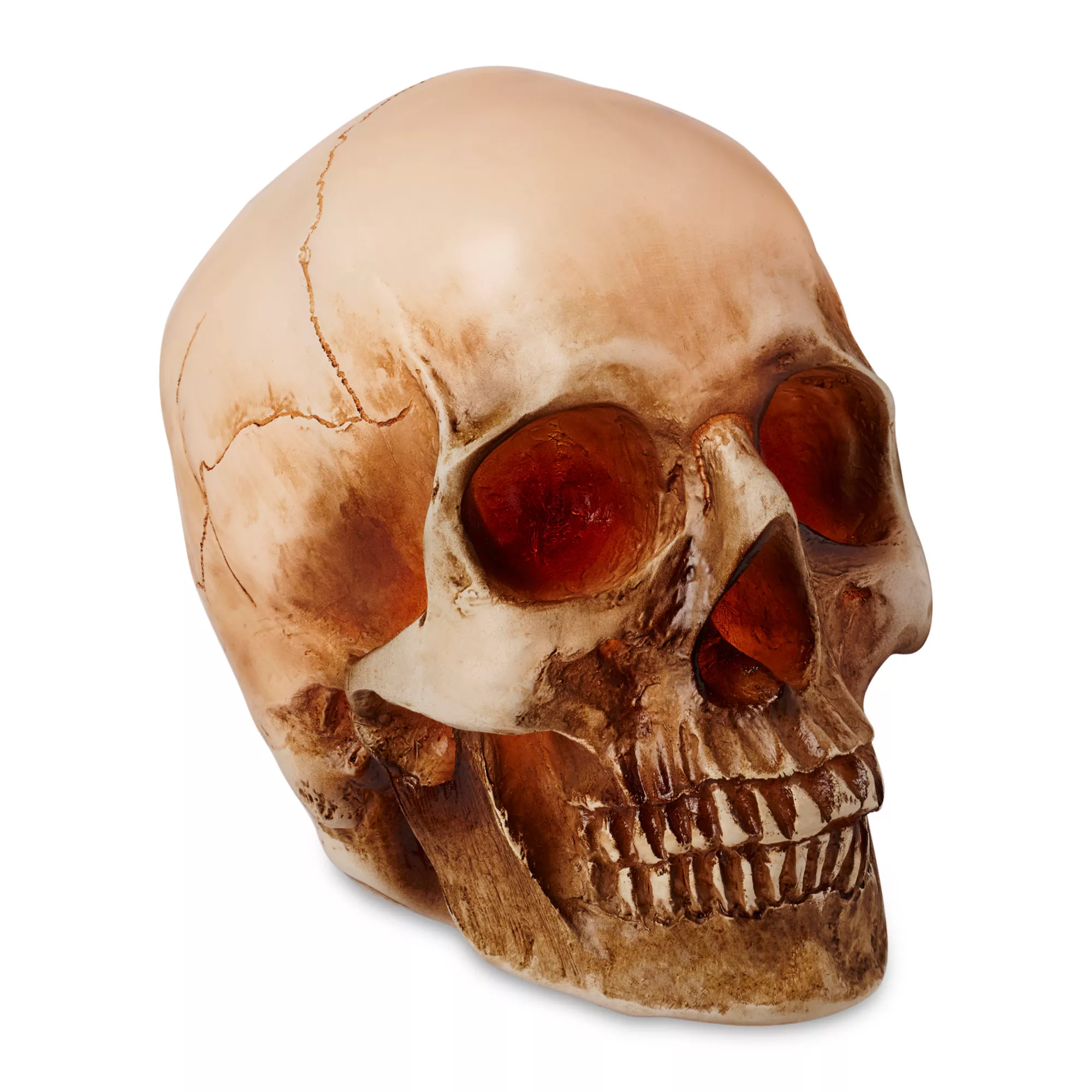 LED Skull Light at Spencer's