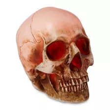 LED Skull Light at Spencer's