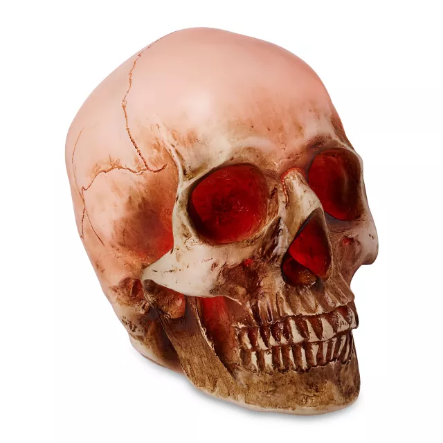 LED Skull Light at Spencer's