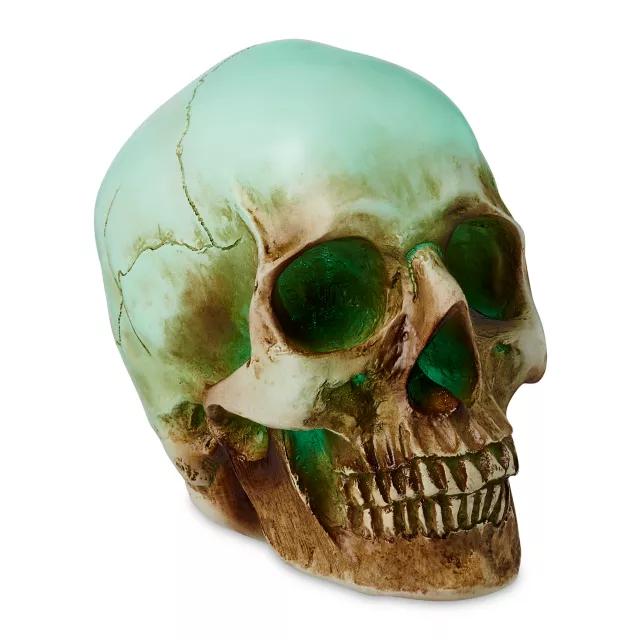LED Skull Light at Spencer's