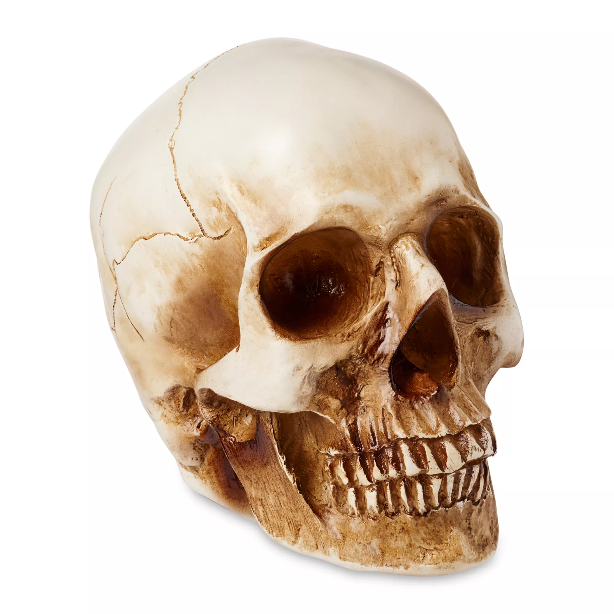 LED Skull Light at Spencer's