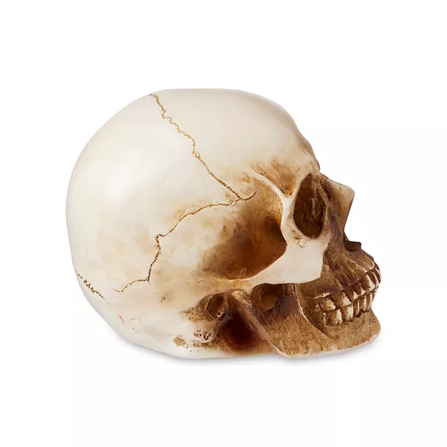 LED Skull Light at Spencer's