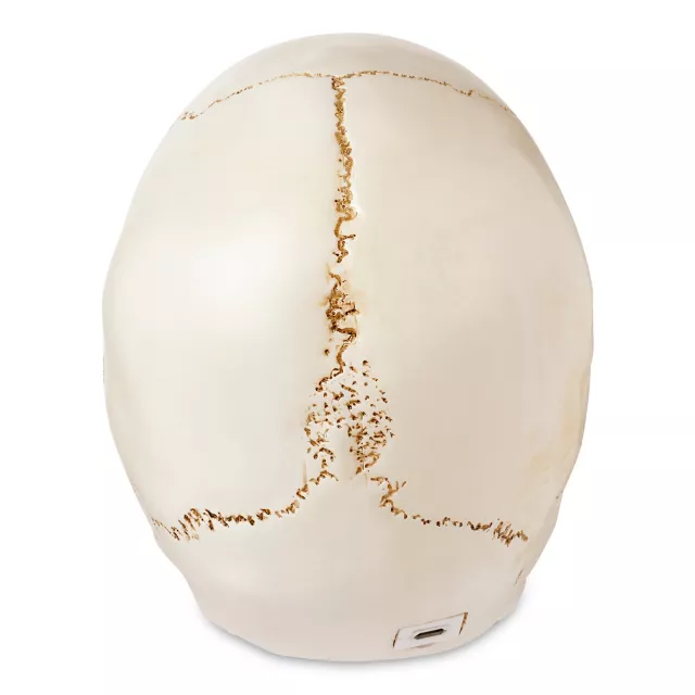 LED Skull Light at Spencer's