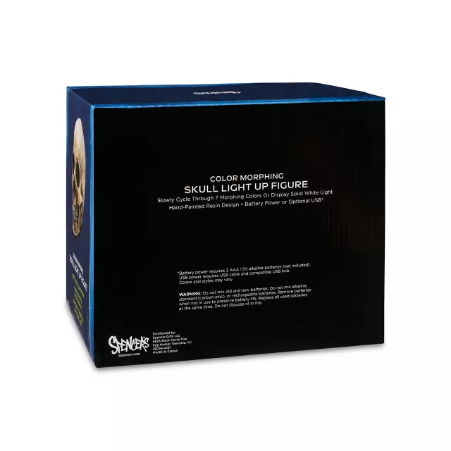 LED Skull Light at Spencer's