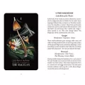 Midnight Magic Mushroom Tarot Deck at Spencer's