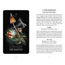 Midnight Magic Mushroom Tarot Deck at Spencer's