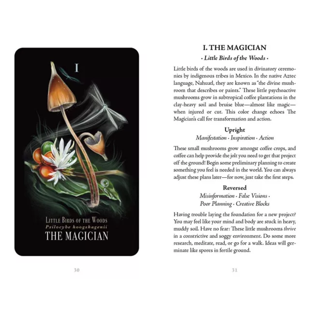 Midnight Magic Mushroom Tarot Deck at Spencer's
