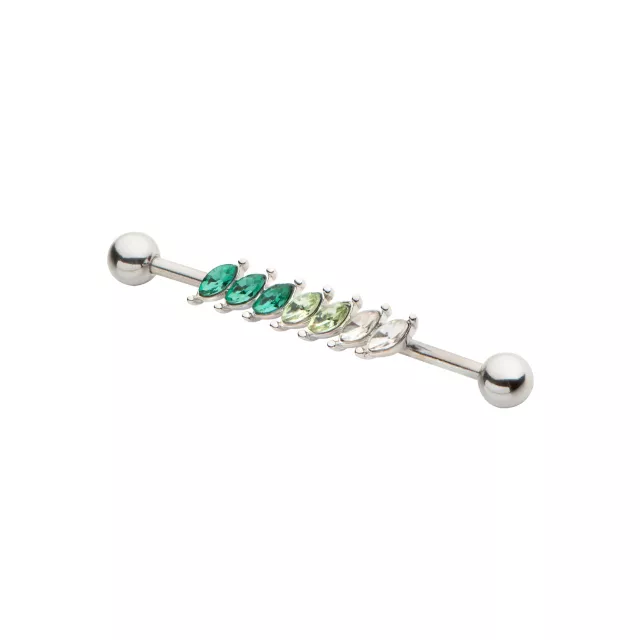 Green Twist Industrial Barbell 14 Gauge Spencer's