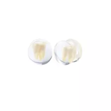 Tooth Resin Double Flare Plugs at Spencer's