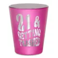21 & Getting Trashed Shot Glass - 2 oz. at Spencer's