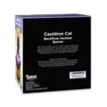Cat Cauldron Backflow Incense Burner at Spencer's
