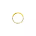 Goldtone CZ Multi-Gem Clicker Septum Ring at Spencer's