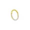 Goldtone CZ Multi-Gem Clicker Septum Ring at Spencer's
