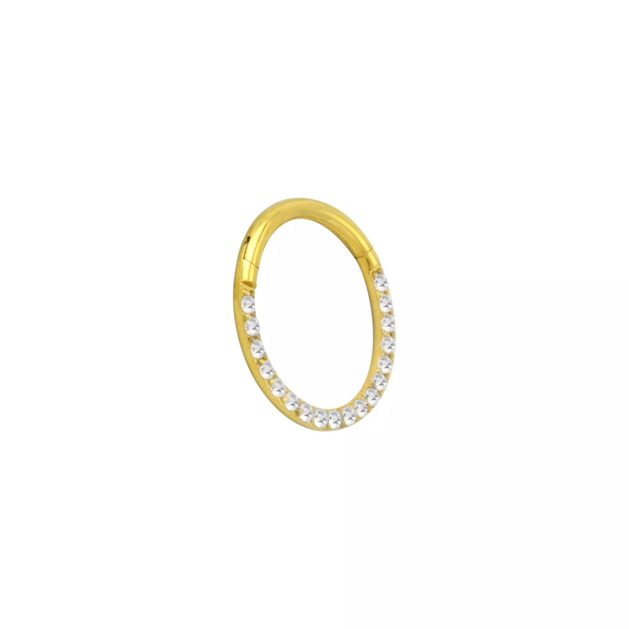 Goldtone CZ Multi-Gem Clicker Septum Ring at Spencer's