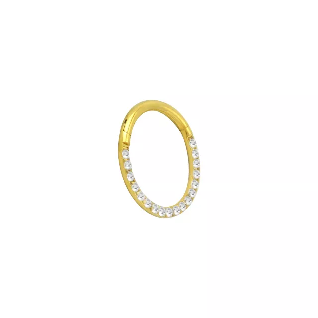 Goldtone CZ Multi-Gem Clicker Septum Ring at Spencer's