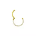 Goldtone CZ Multi-Gem Clicker Septum Ring at Spencer's