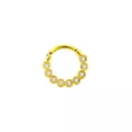 Goldtone CZ Multi-Gem Hinged Septum Ring - 14 Gauge at Spencer's
