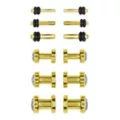 CZ Goldtone Plugs - 6 Pair at Spencer's